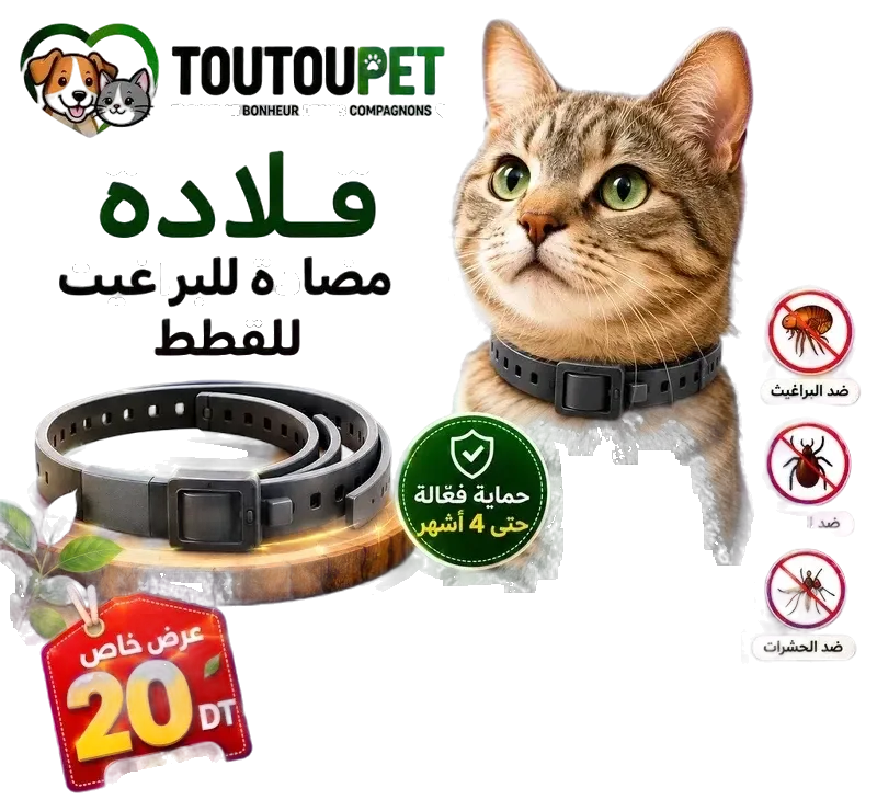 قلادة طبيعية فعّالة وآمنة للقطط