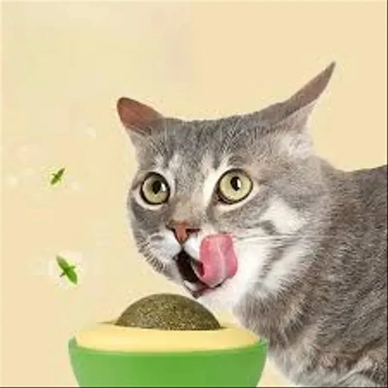 🥑🐱 لعبة الأفوكا للقطط – ودّع الملل وخلي قطوسك فرحان!