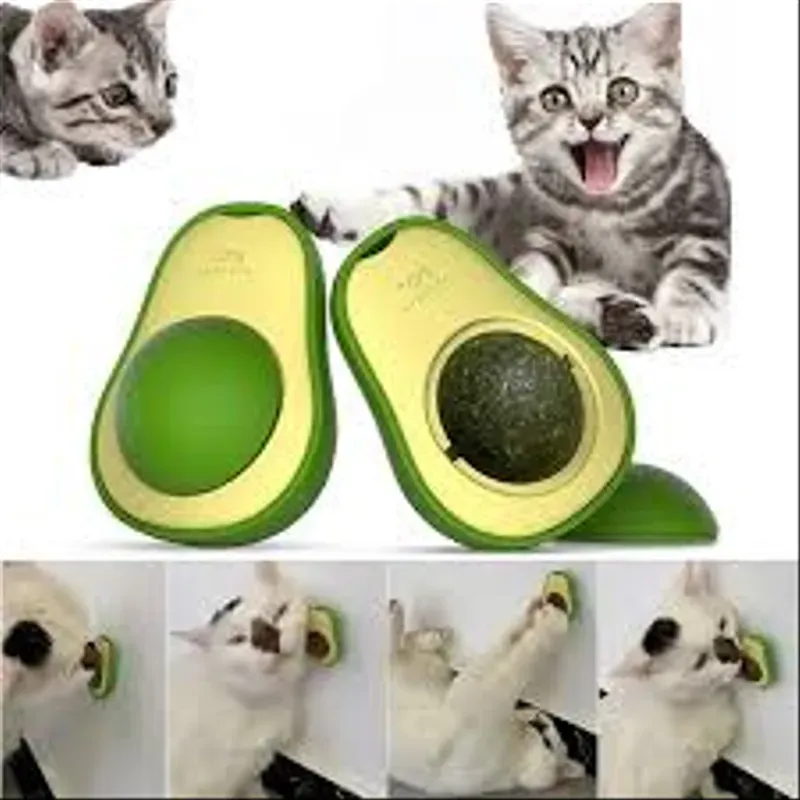 🥑🐱 لعبة الأفوكا للقطط – ودّع الملل وخلي قطوسك فرحان! — TOUTOUPET — photo 3