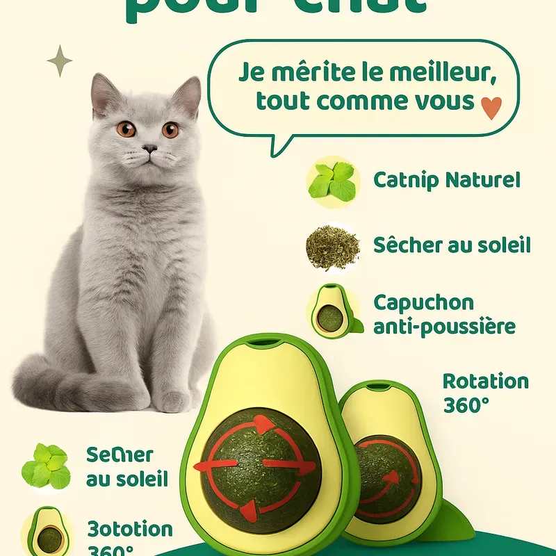 🥑🐱 لعبة الأفوكا للقطط – ودّع الملل وخلي قطوسك فرحان! — TOUTOUPET — photo 2
